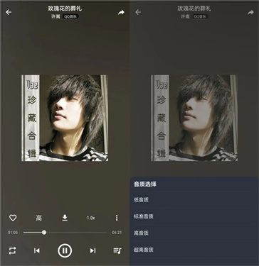 MusicFree音乐播放器