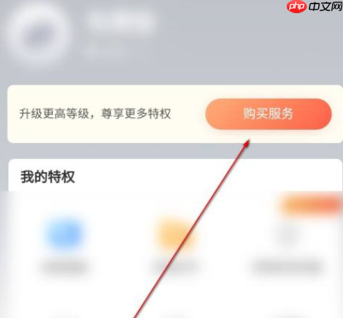 向日葵远程控制如何升级服务?向日葵远程控制升级服务的方法