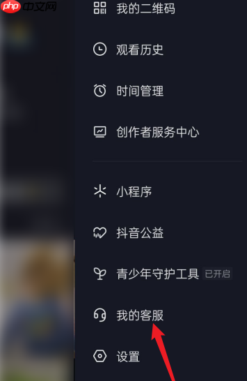 抖音直播伴侣如何添加文字?抖音直播伴侣添加文字的方法