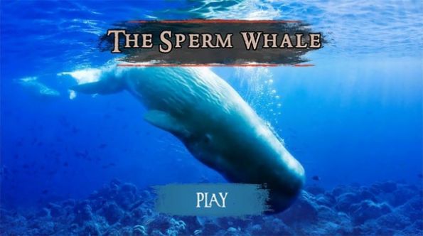 抹香鲸模拟器免费版