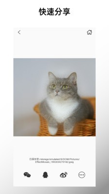 特效马赛克免费版