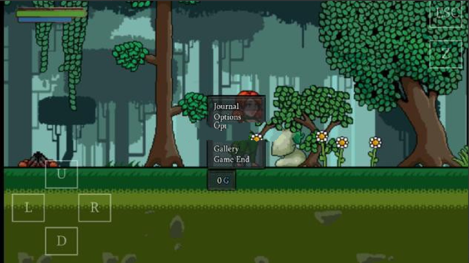 风行森林免费版