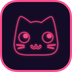 夜喵手机版