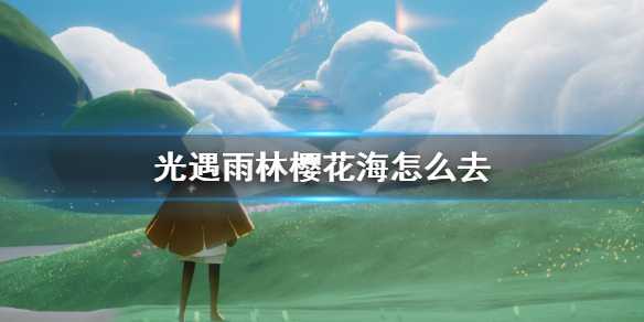 光遇雨林樱花海入口在哪