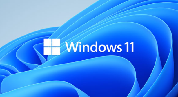 windows10怎么免费升级win11