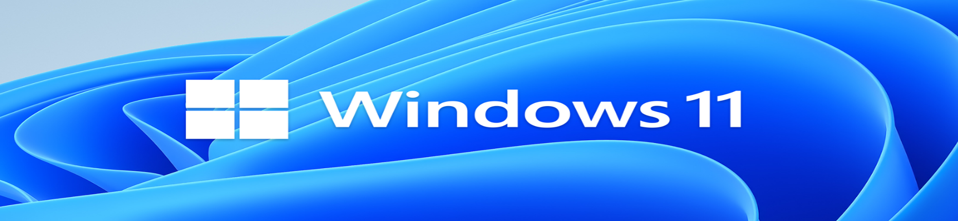 windows11系统教程汇总