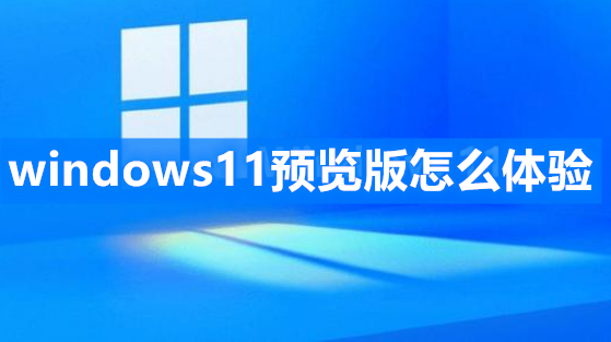 windows11预览版怎么体验