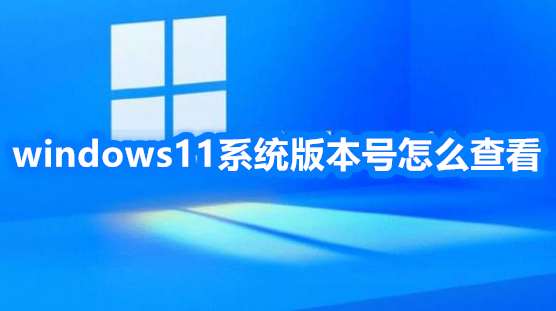 windows11系统版本号怎么查看