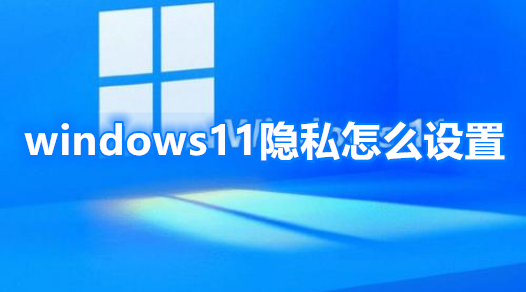 windows11隐私怎么设置