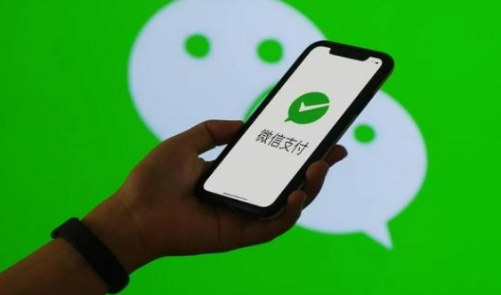 微信刷掌支付是什么