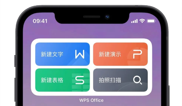 WPS组件文档类型怎么选