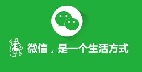 微信搜一搜视频号直播在哪