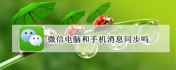 微信电脑和手机可以同步消息吗