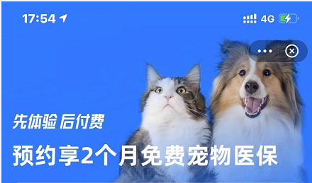 支付宝宠物保险怎么买