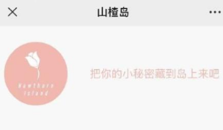 微信山楂岛不能留言怎么回事
