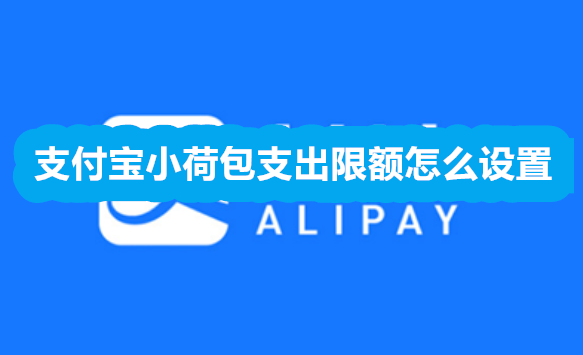 支付宝小荷包支出限额怎么设置