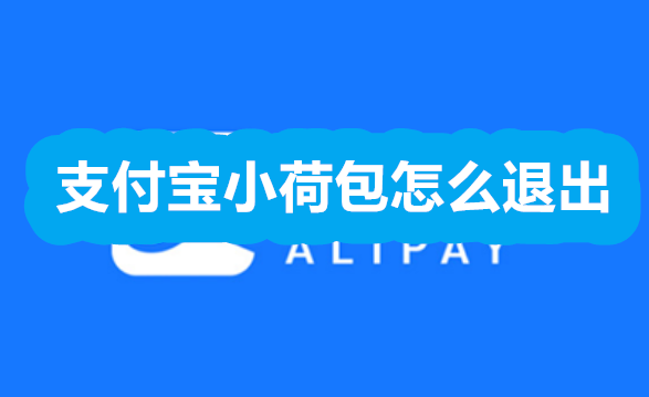 支付宝小荷包怎么退出