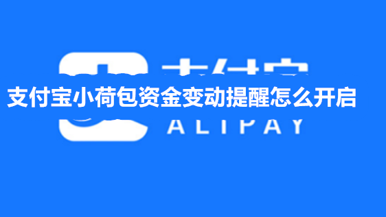 支付宝小荷包资金变动提醒怎么开启