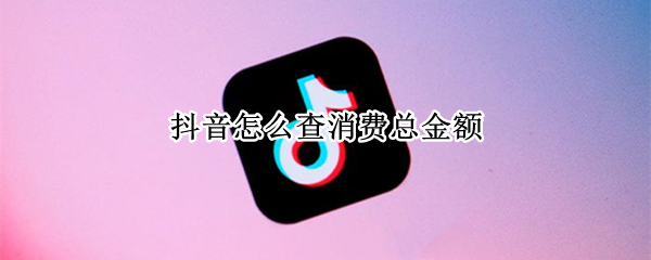 抖音消费总金额怎么看