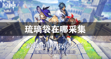 原神琉璃袋在哪里