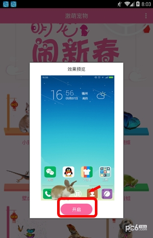 激萌猫咪桌面宠物下载