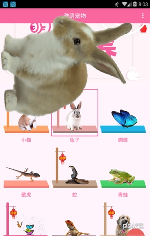 激萌猫咪桌面宠物下载