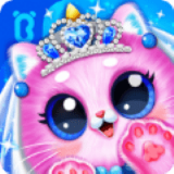 奇妙猫咪养成记