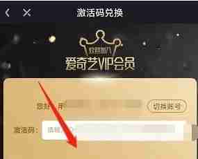 爱奇艺vip兑换码有哪些 爱奇艺vip兑换码大全
