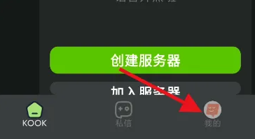 kook怎么设置按键说话