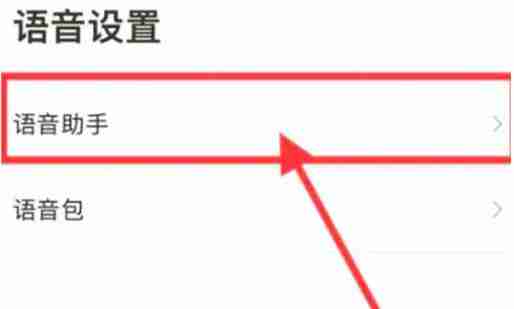 高德地图怎么开启语音唤醒功能 高德地图开启语音唤醒功能方法