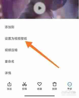 小红书怎么设置动态壁纸 小红书设置动态壁纸方法