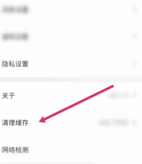 理想汽车app如何清理垃圾缓存 理想汽车app清除缓存方法分享