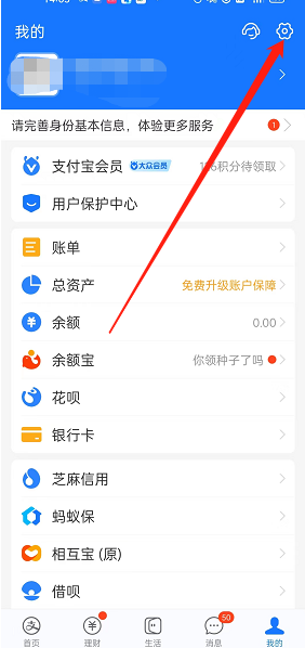 支付宝资产隐私保护功能在哪开启 支付宝设置可用余额展示流程介绍