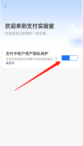支付宝资产隐私保护功能在哪开启 支付宝设置可用余额展示流程介绍