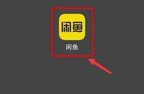 闲鱼在哪进行签到 闲鱼签到方法一览