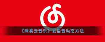 网易云音乐如何发送语音-在网易云音乐动态中发布语音教程