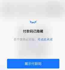 支付宝付款码隐藏