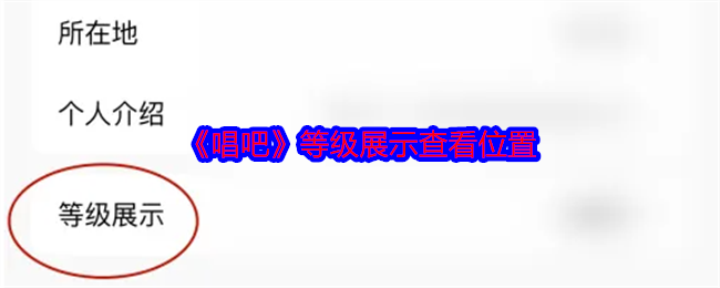 唱吧等级展示在哪里看 等级展示查看位置