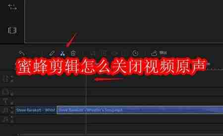 蜜蜂剪辑怎么关闭视频原声