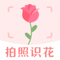 看图识物软件有哪些 好用的拍照识物软件推荐