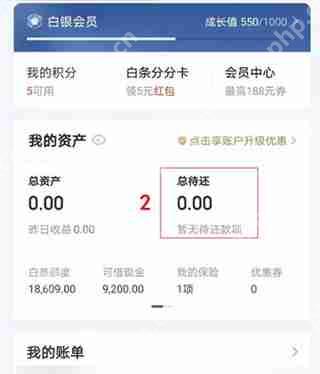 京东金融白条怎么还款 白条还款教程介绍