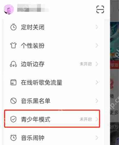 网易云音乐青少年模式怎么开启