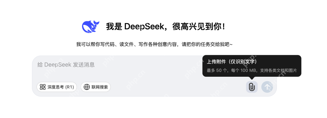 国内第一批用DeepSeek