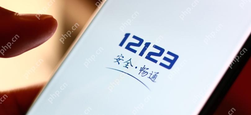 交管12123网页版入口 交管12123在线网页版 - php中文网
