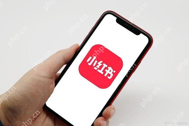 小红书怎么查找陌生人 陌生人查找功能使用指南