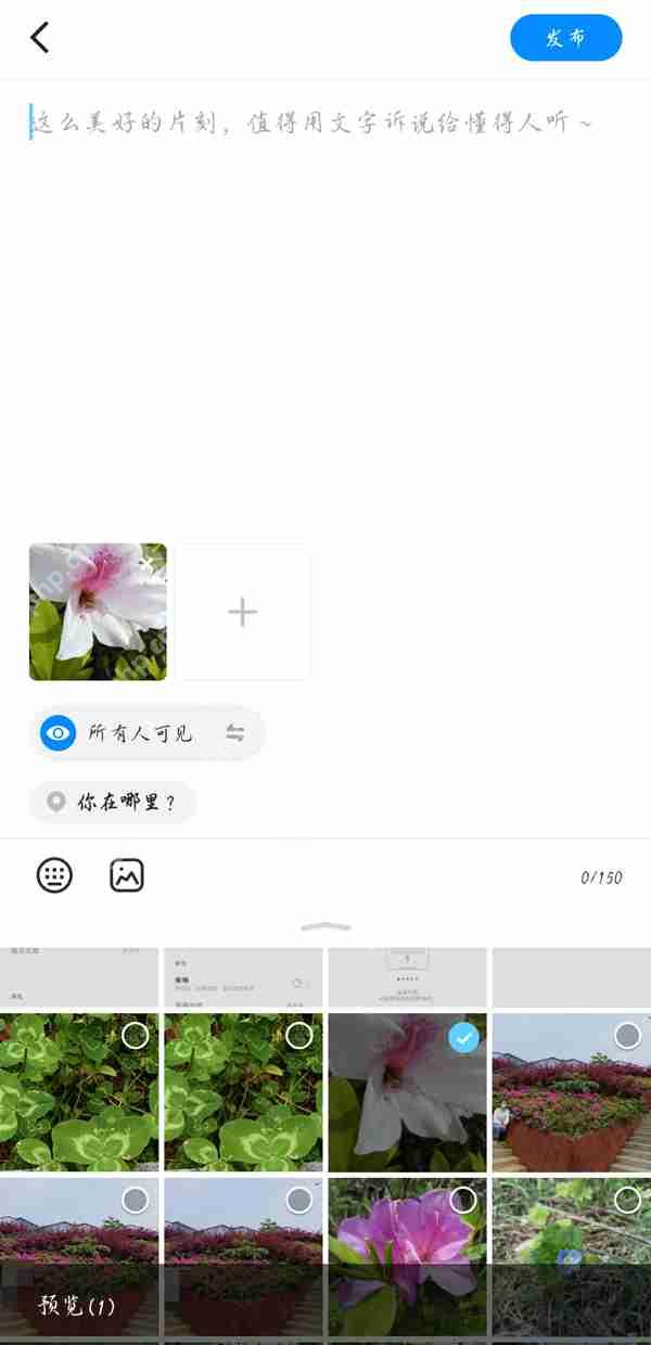 贴贴相册照片怎么发布