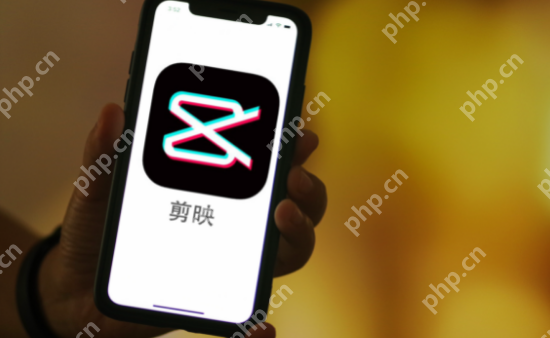 剪映怎么查看开发票历史记录 剪映查看开发票历史记录方法一览