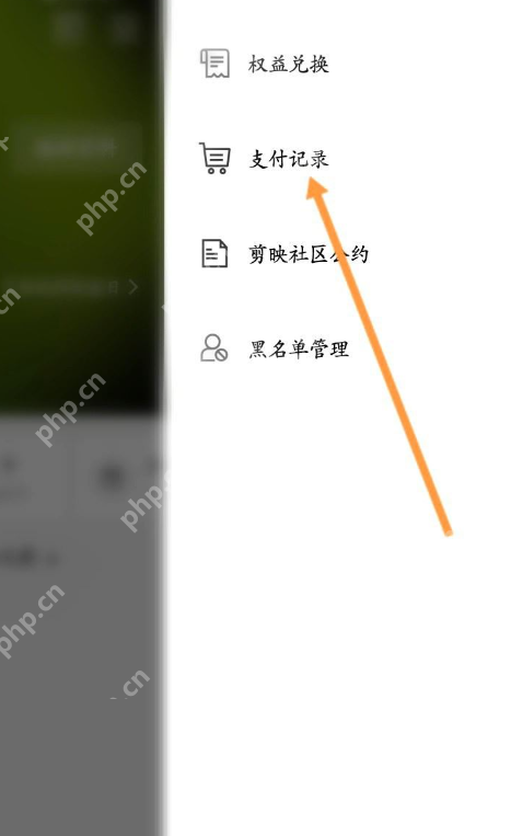 剪映怎么查看开发票历史记录 剪映查看开发票历史记录方法一览