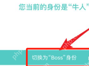 BOSS直聘怎么切换boss身份？BOSS直聘切换boss身份的方法