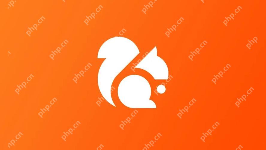 uc浏览器看不了视频 解决uc浏览器无法看视频问题